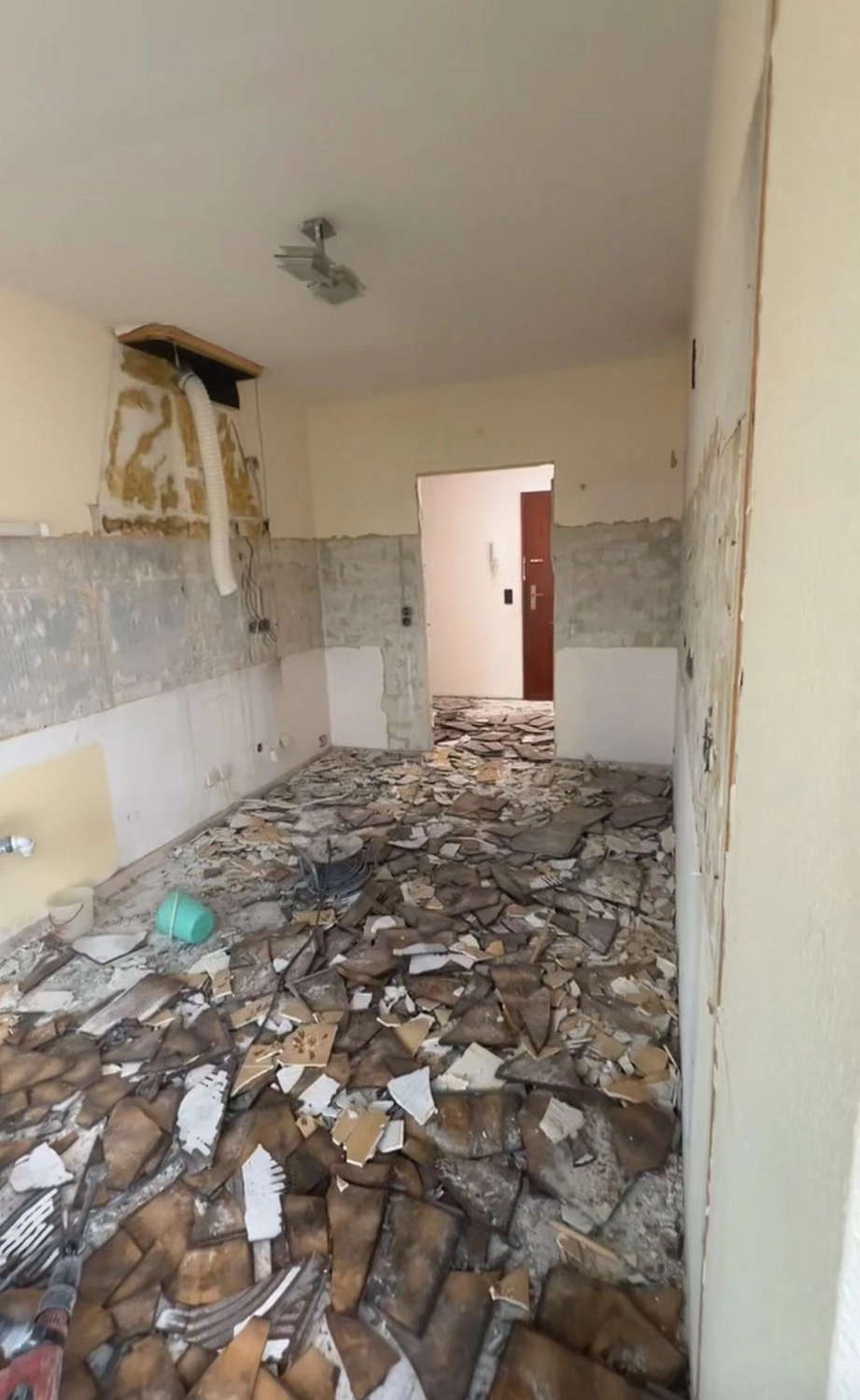 Firma Ianus Danut — Renovierung & Sanierung — Leimen — Entrümpelung