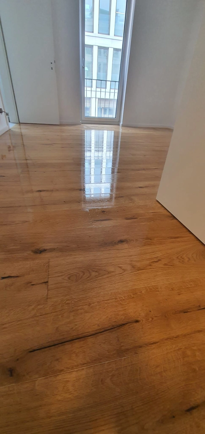 Firma Ianus Danut — Renovierung & Sanierung — Leimen — Bodenverlegung